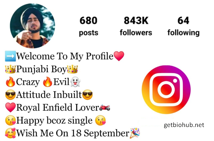 800+ Best Punjabi Instagram Bios for Boys & Girls 2024 - Unique and Stylish Ideas