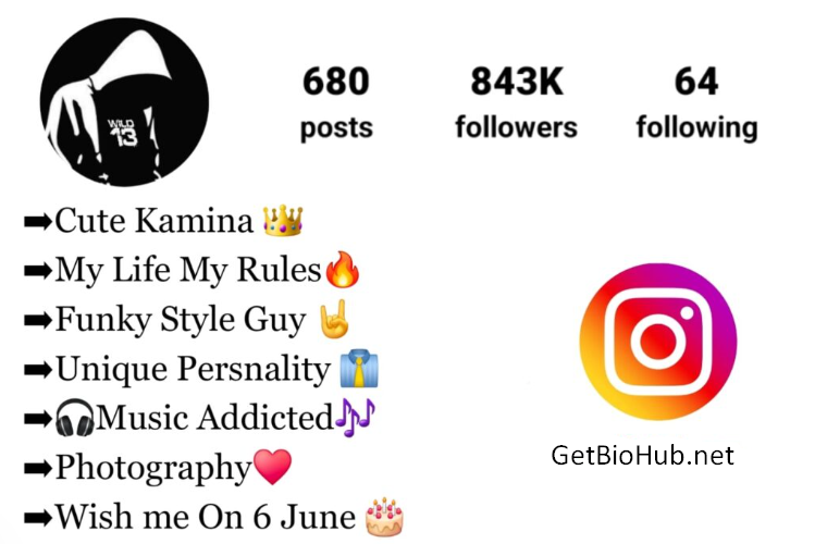 270+ Cute Kamina Instagram Bios for Boys | Best Kamina Bio Ideas