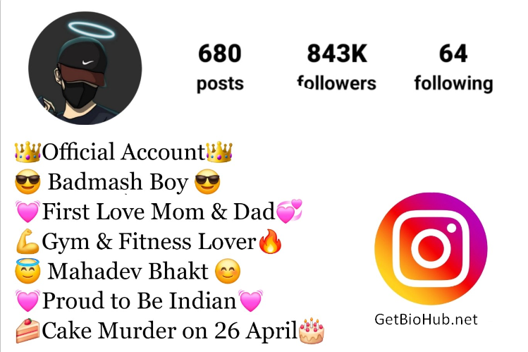 370+ Best Instagram Bio Ideas in Hindi – Attitude & VIP Bios for 2023