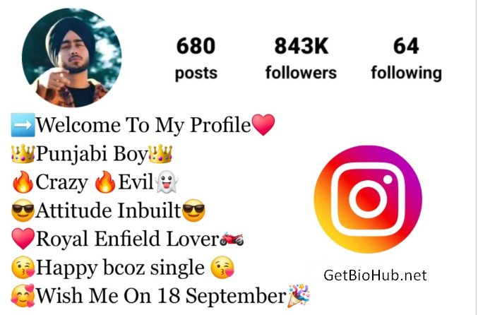 (800+) Best Instagram Bios in Punjabi for Boys & Girls – 2024 Collection