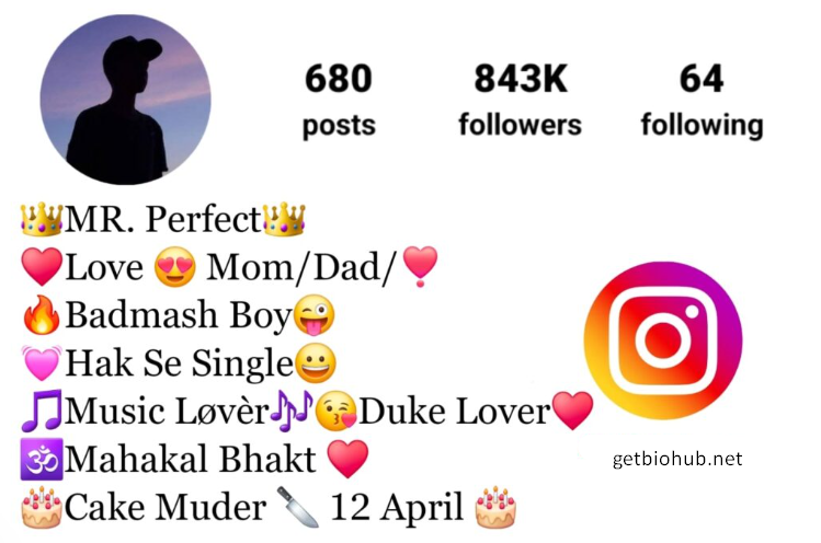 580+ Best Instagram Bio Ideas for Moms, Dads, Lovers, Boys & Girls