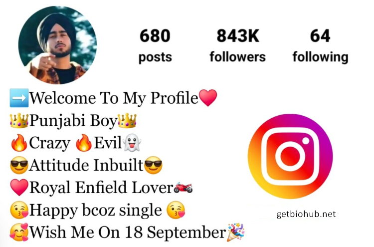 800+ Best Instagram Bio Ideas in Punjabi for Boys & Girls (2024)