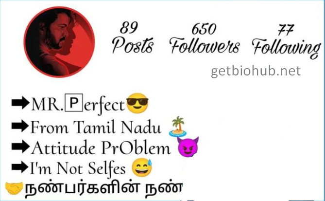 220+ Best Tamil Instagram Bios | Creative Tamil Bio Ideas for Instagram