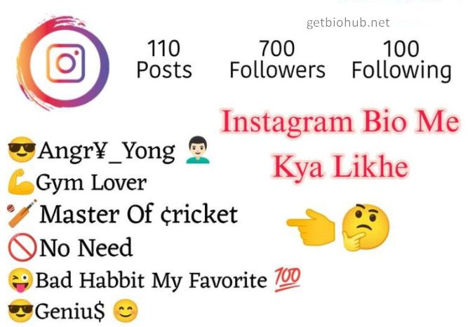 Instagram Bio Me Kya Likhe