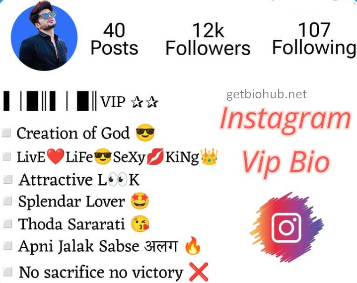 999+ Best Instagram VIP Bios for 2025 - Exclusive VIP Account Bio Ideas