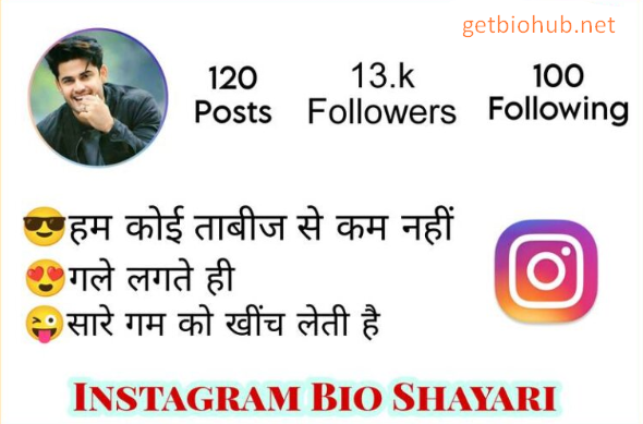 300+ Best Instagram Bio Shayari Ideas for 2025