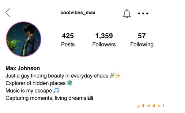 Aesthetic Instagram Bio