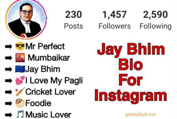 Jay Bhim Bio Ideas for Instagram