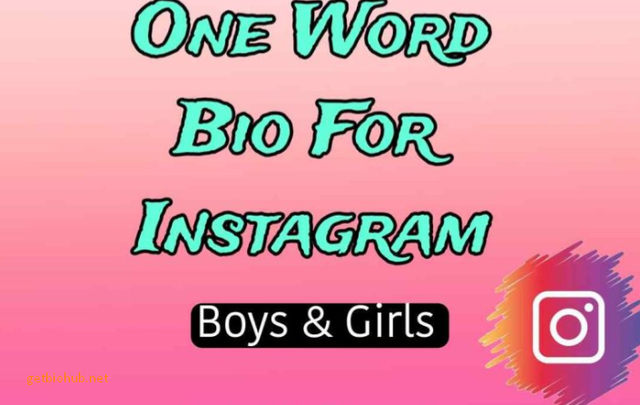 One-Word Instagram Bios