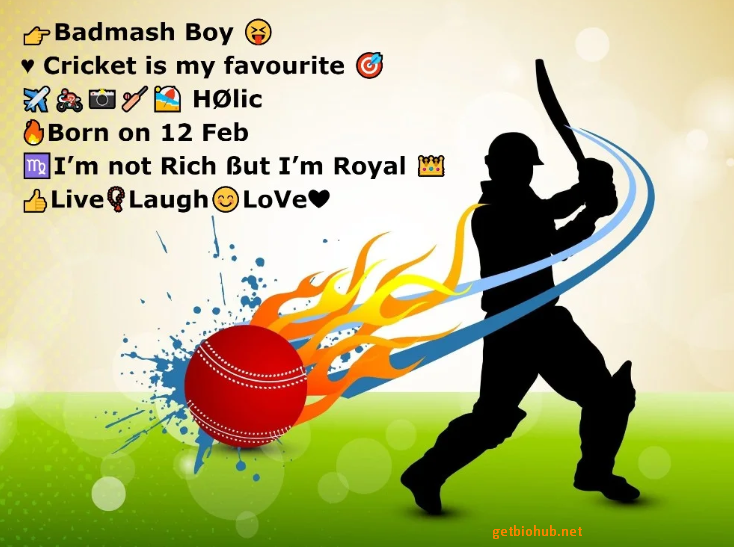 Top 200+ Instagram Bios for Cricket Lovers (2025)