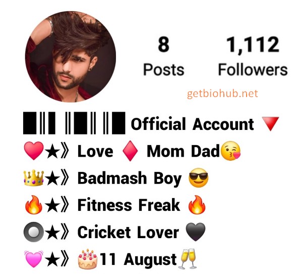 540+ Best Instagram Bios for Boys