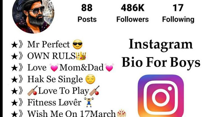 instagram bio for boys attitude