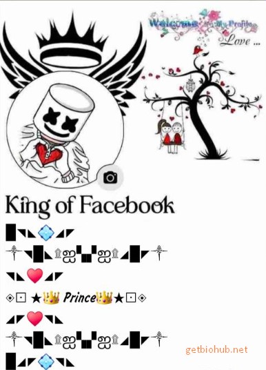 850+ Stylish Facebook Bio Ideas - Unique & Trendy FB Bio Styles